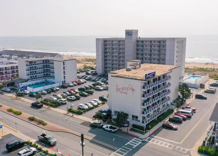 Flamingo Motel
